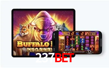 237Bet App